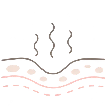 肌イラスト