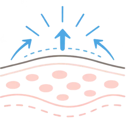 肌イラスト