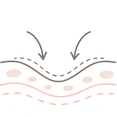 肌イラスト