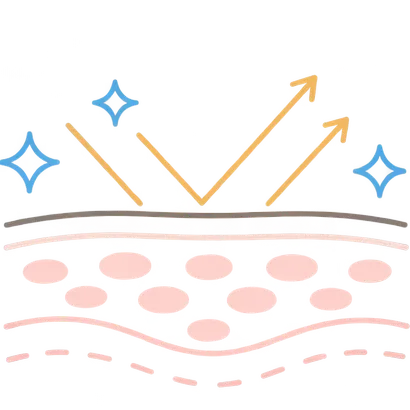 肌イラスト