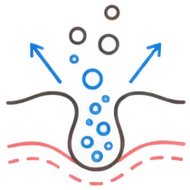 肌イラスト