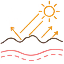 肌イラスト