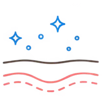 肌イラスト
