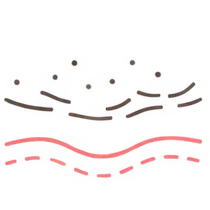肌イラスト