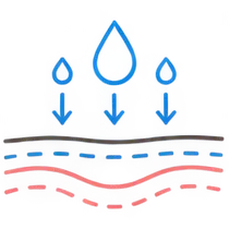 肌イラスト