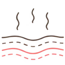 肌イラスト