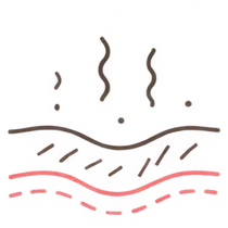 肌イラスト