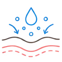 肌イラスト