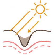 肌イラスト