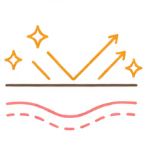 肌イラスト