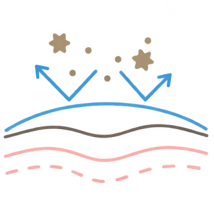 肌イラスト