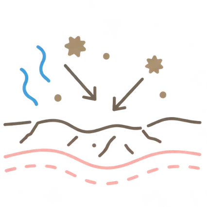 肌イラスト
