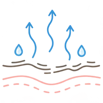 肌イラスト