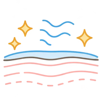 肌イラスト