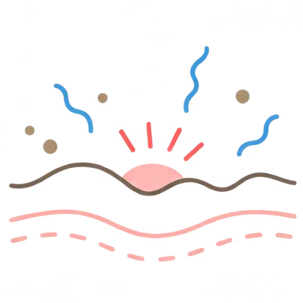 肌イラスト